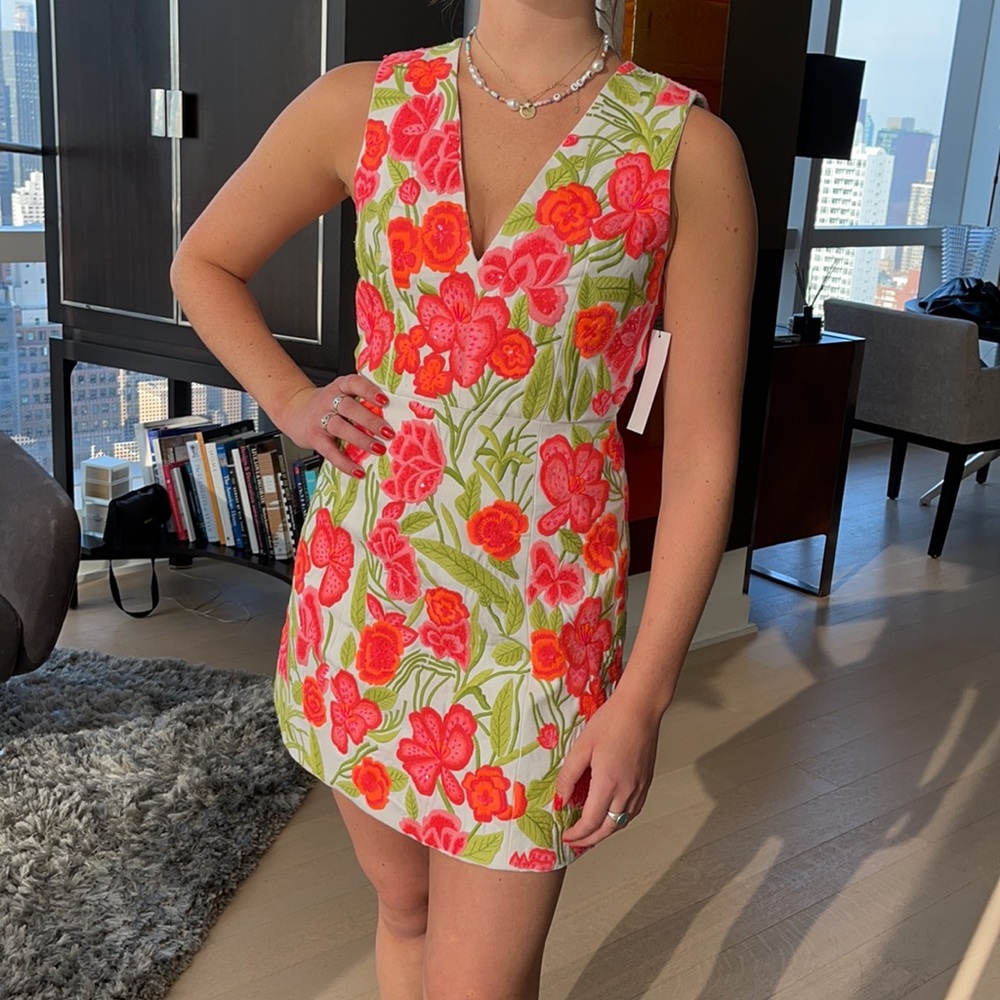 NWT❤️Alice+Olivia low v-neck lantern dress